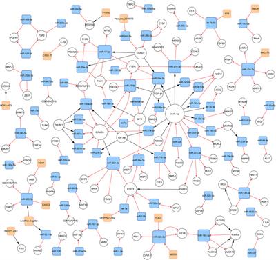 Non-Coding RNA Networks in Pulmonary Hypertension